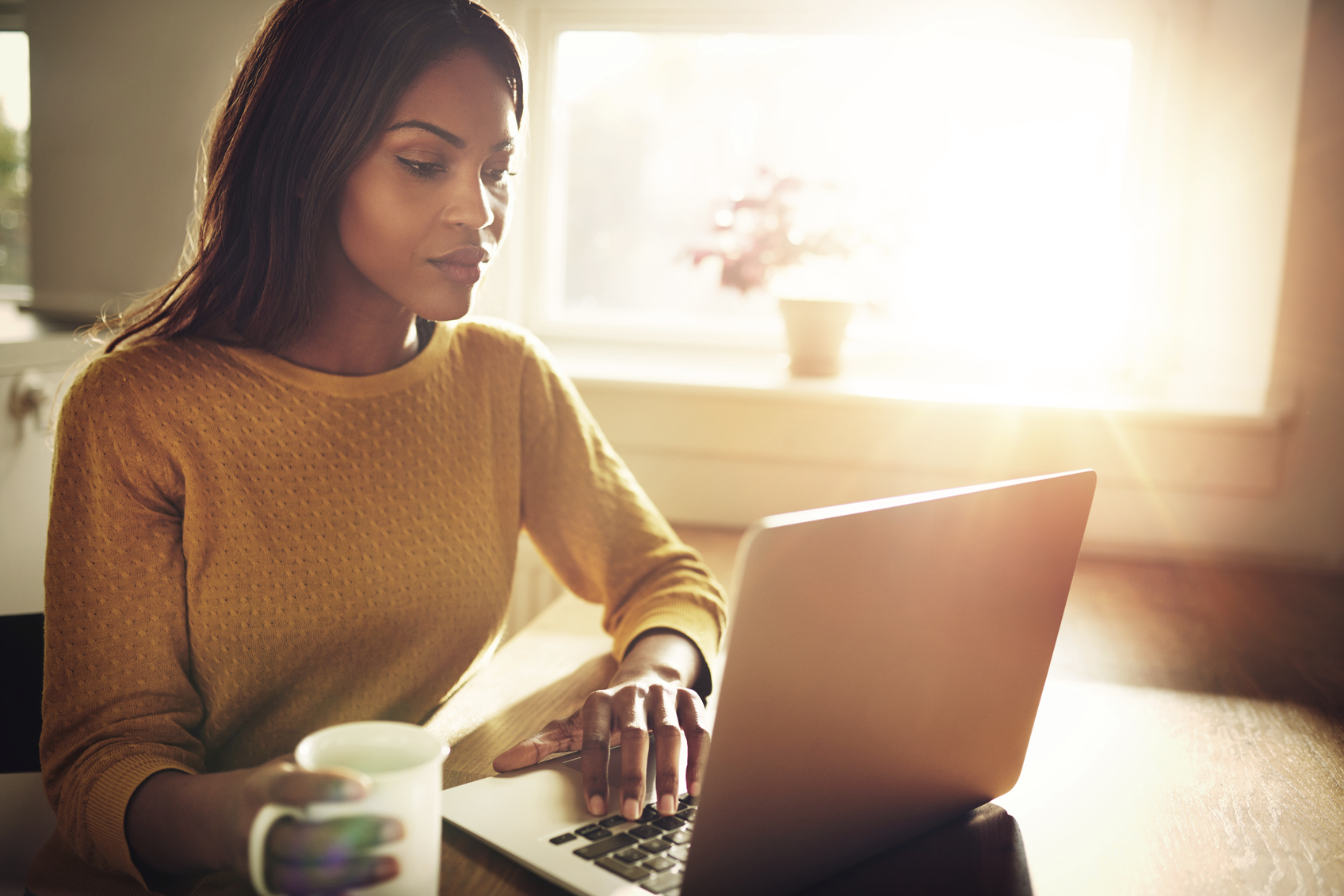 Serious Black adult single female sitting at table holding coffee cup and typing on laptop with light flare coming through window